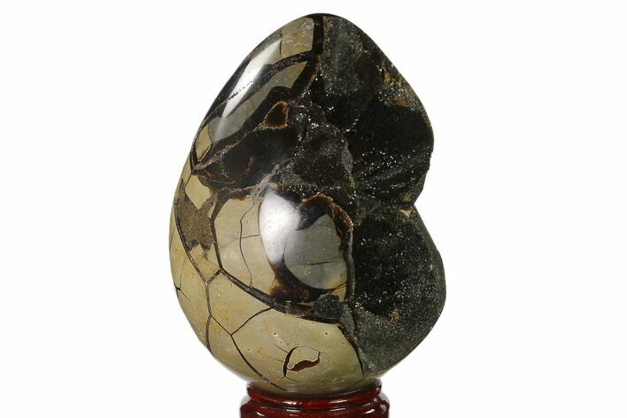Septarian Dragon Egg Geode - Black Crystals #137931